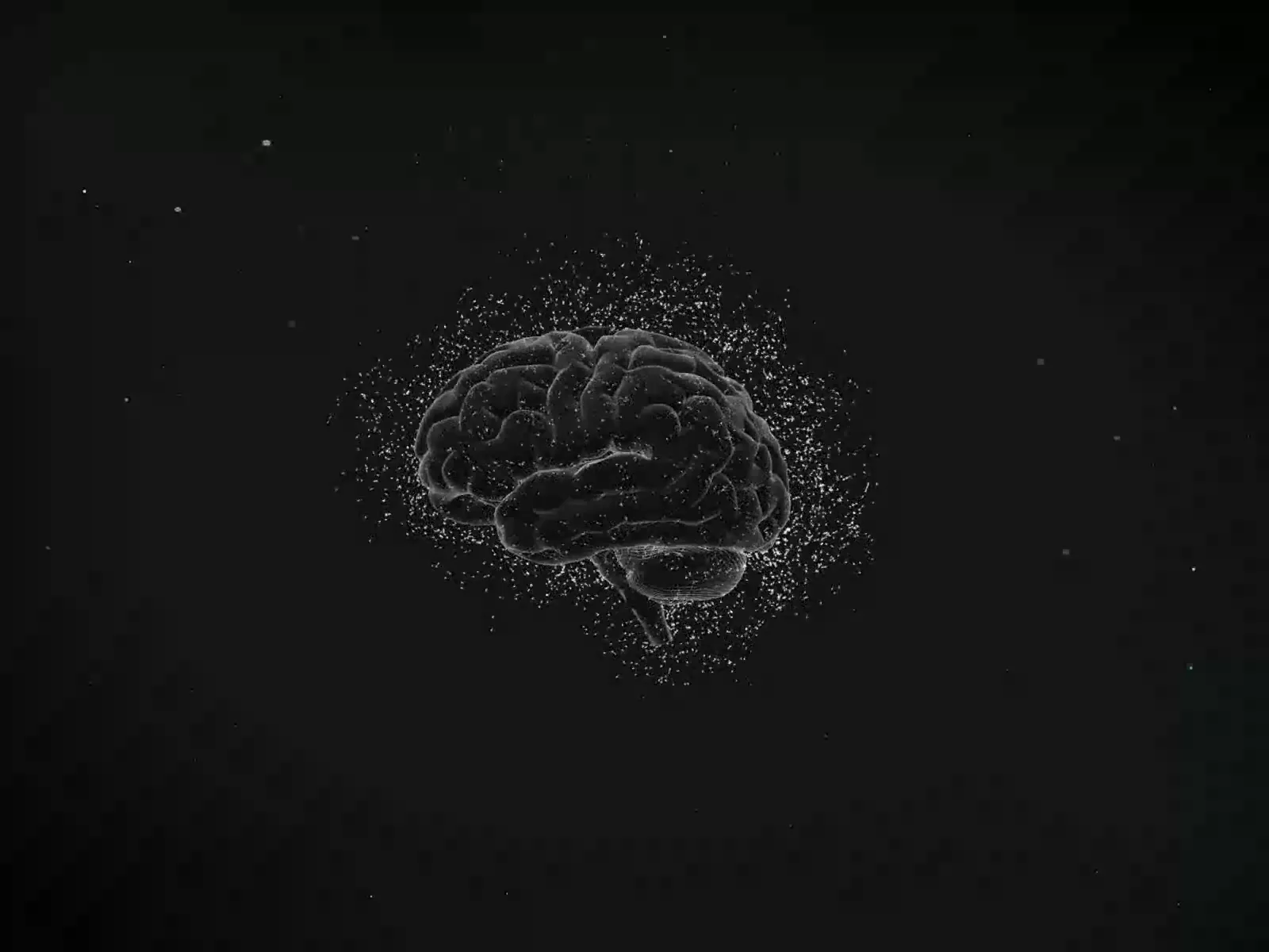 Spline Particle Brain