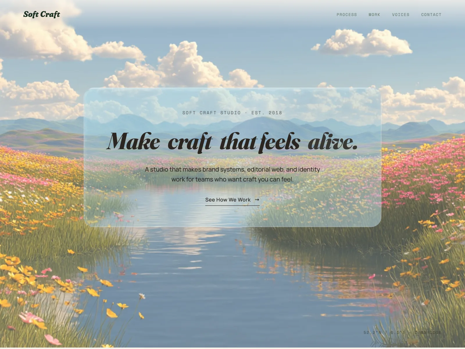Soft Craft