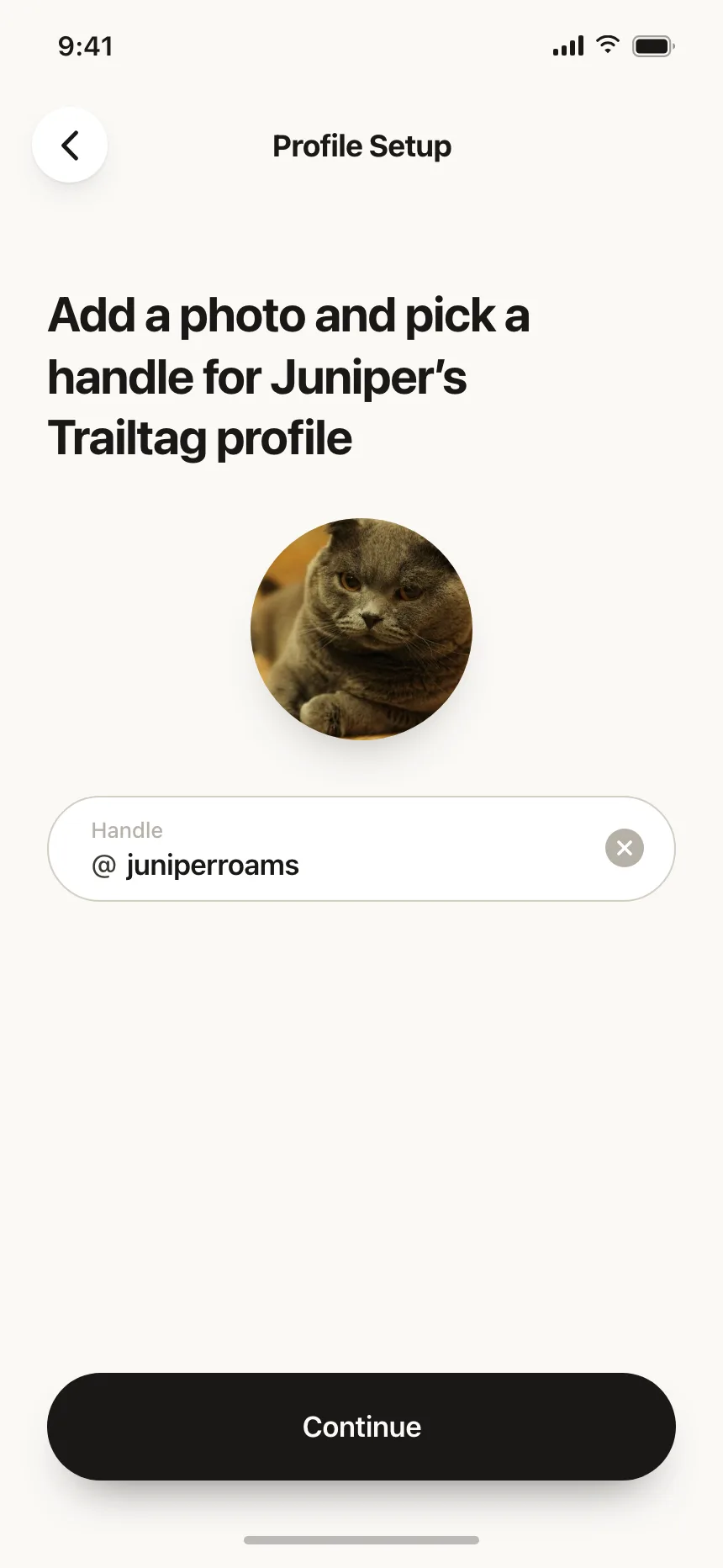 Account Setup
