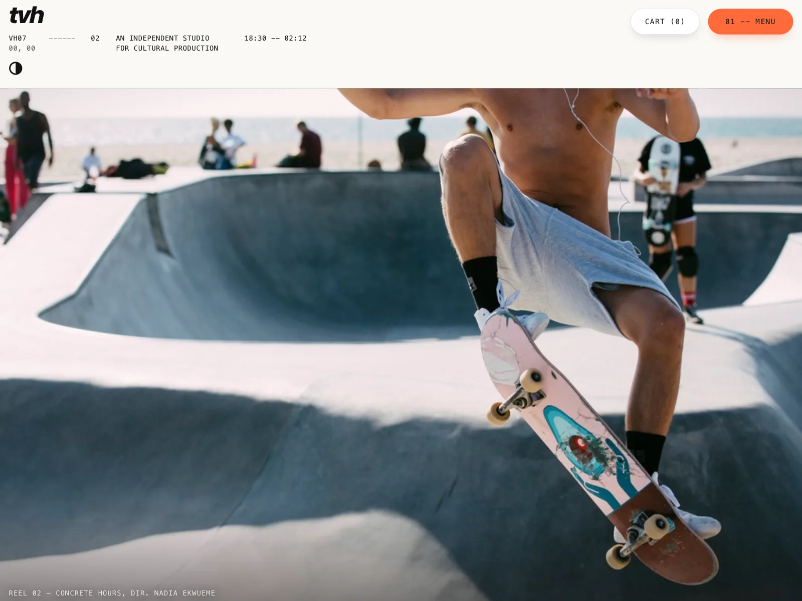 Agency websites