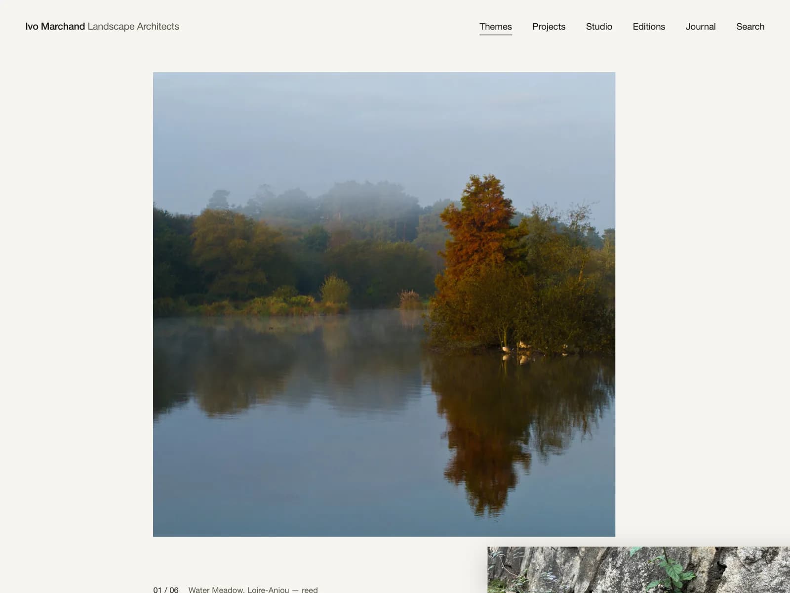 Agency websites