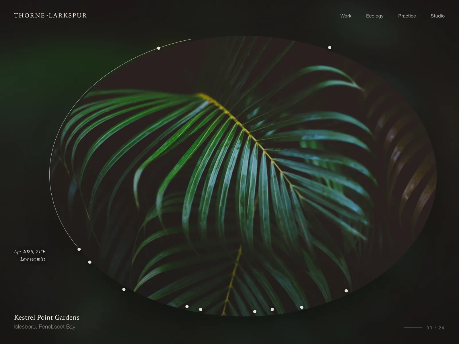 Agency websites