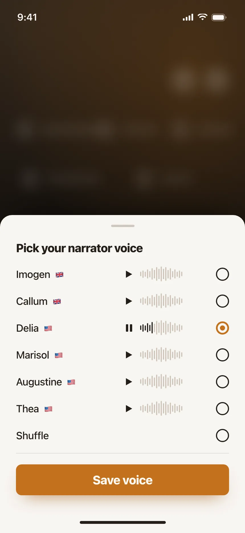 Audio player