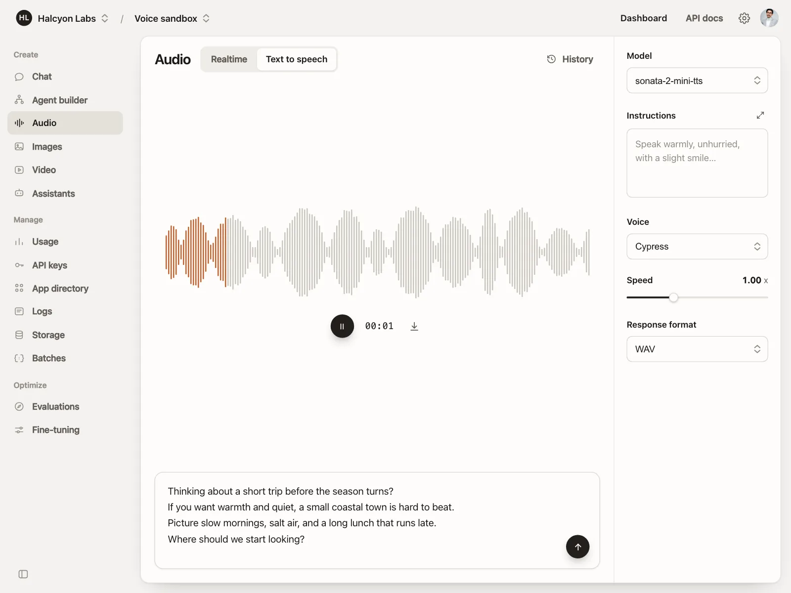 Audio player