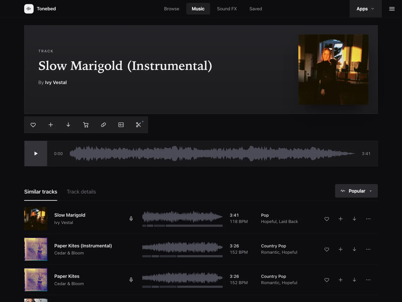 Audio player