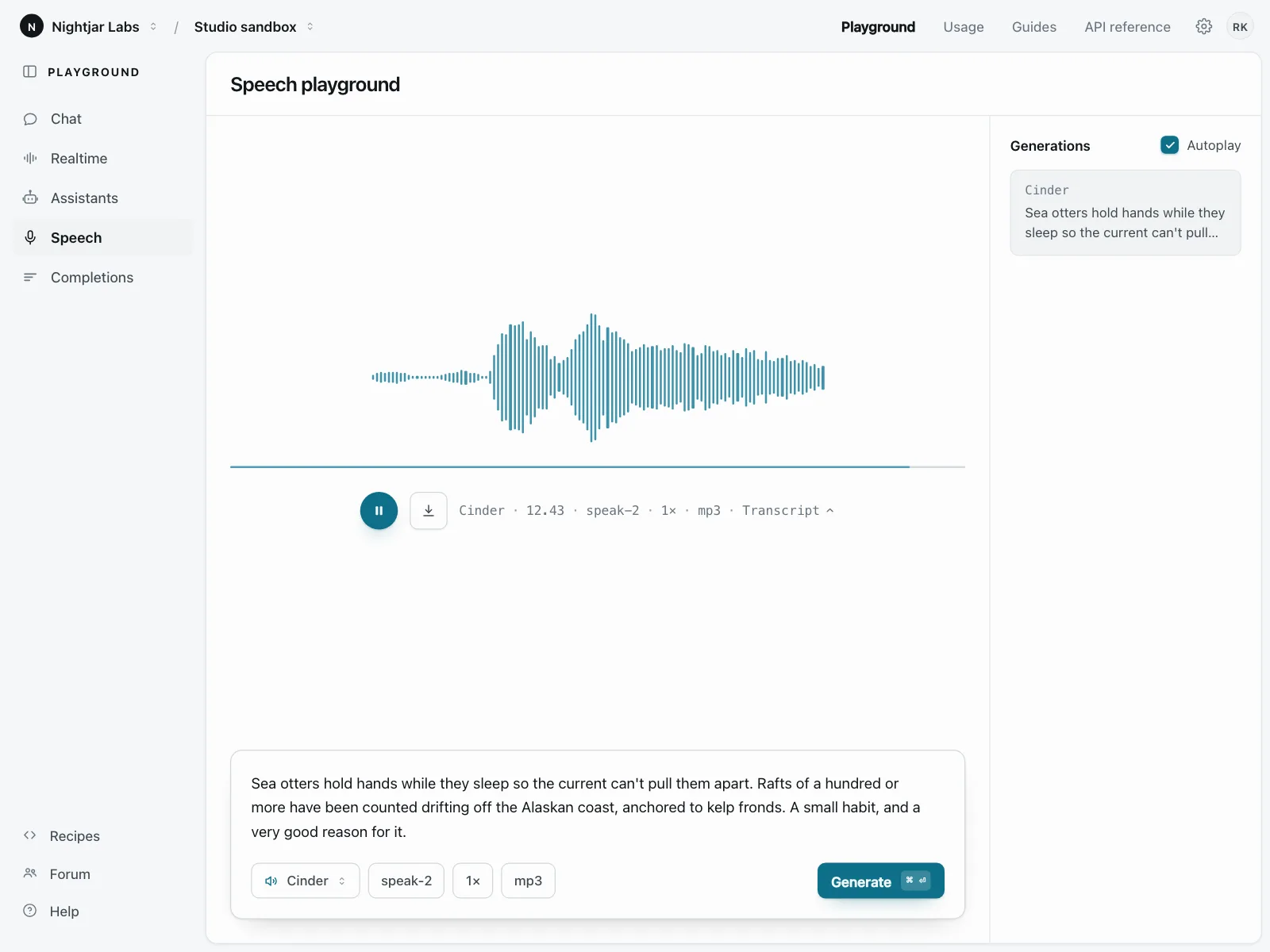 Audio player