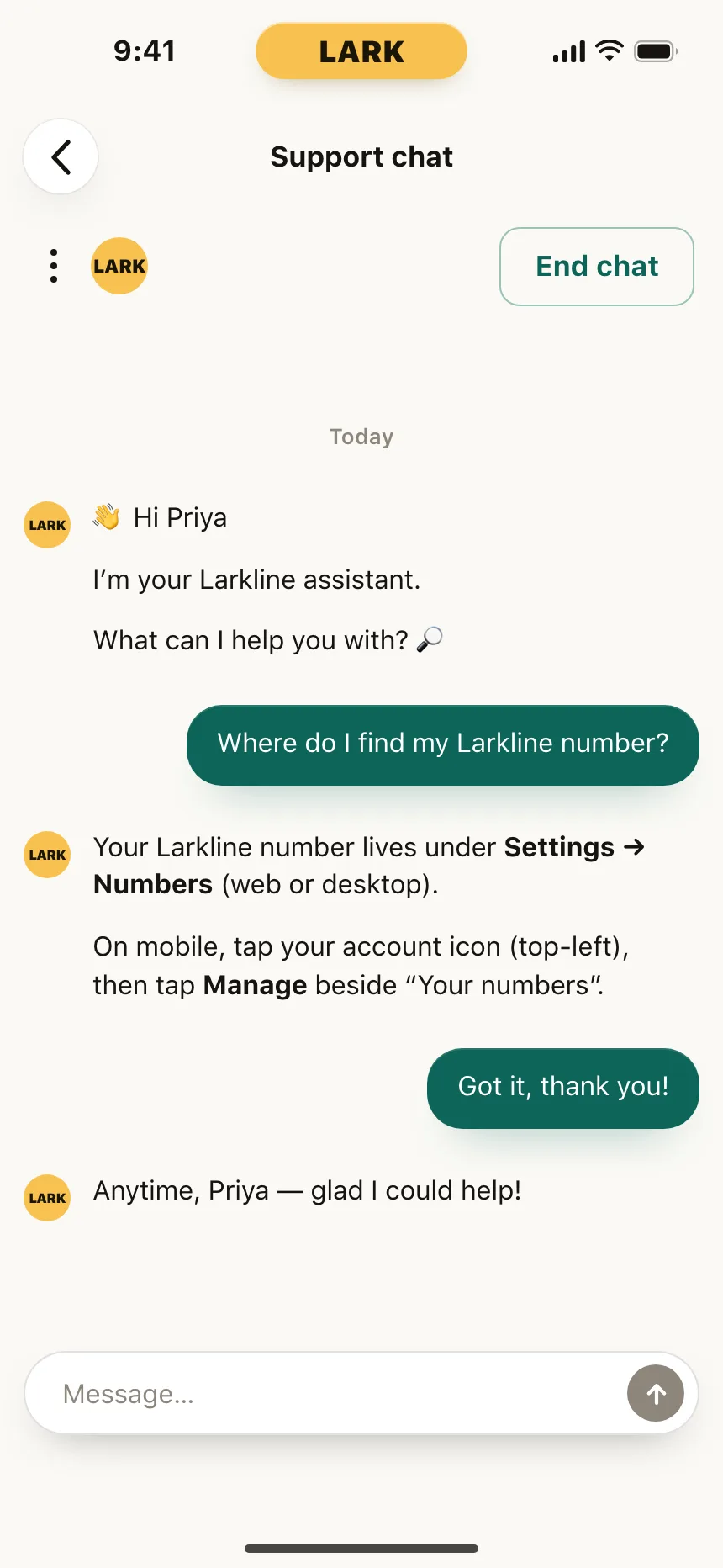 Chat bot