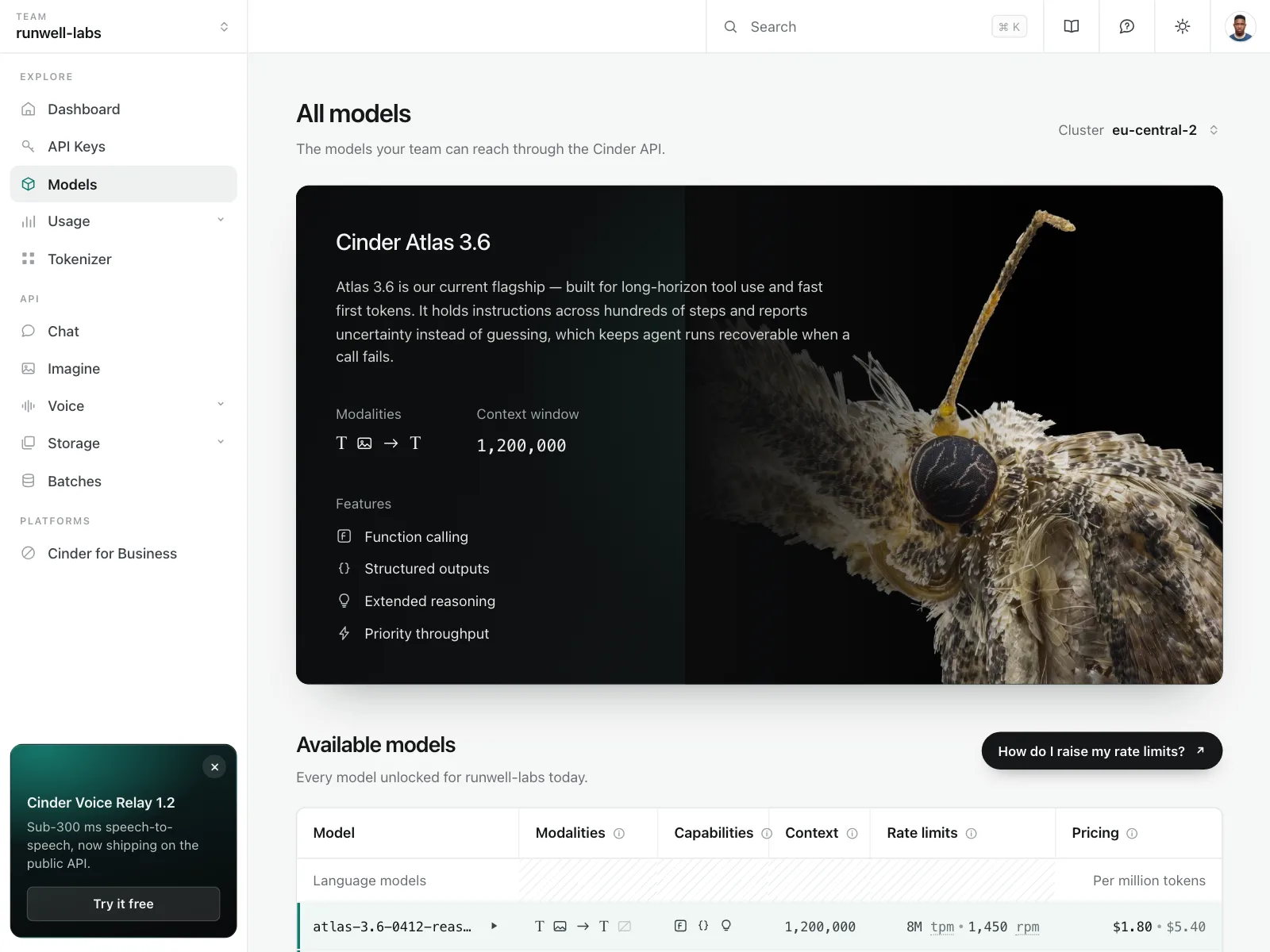 Feature info
