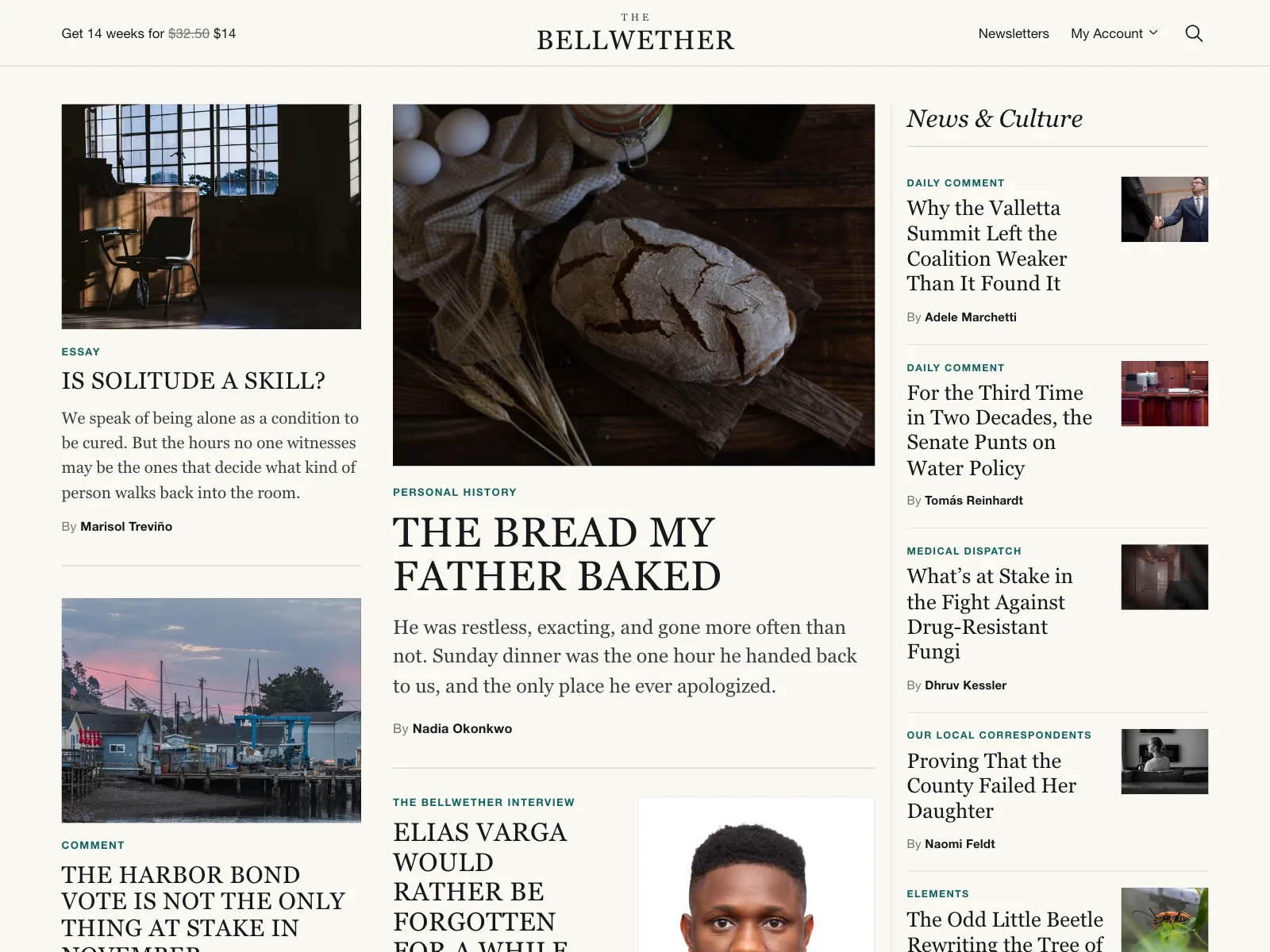 News feed