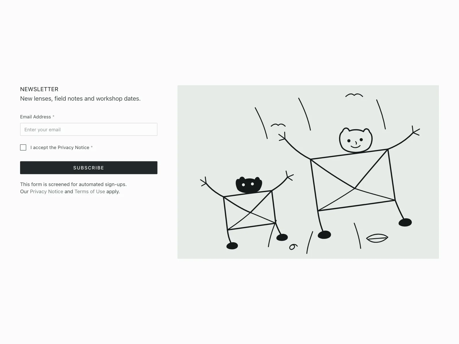 Newsletter