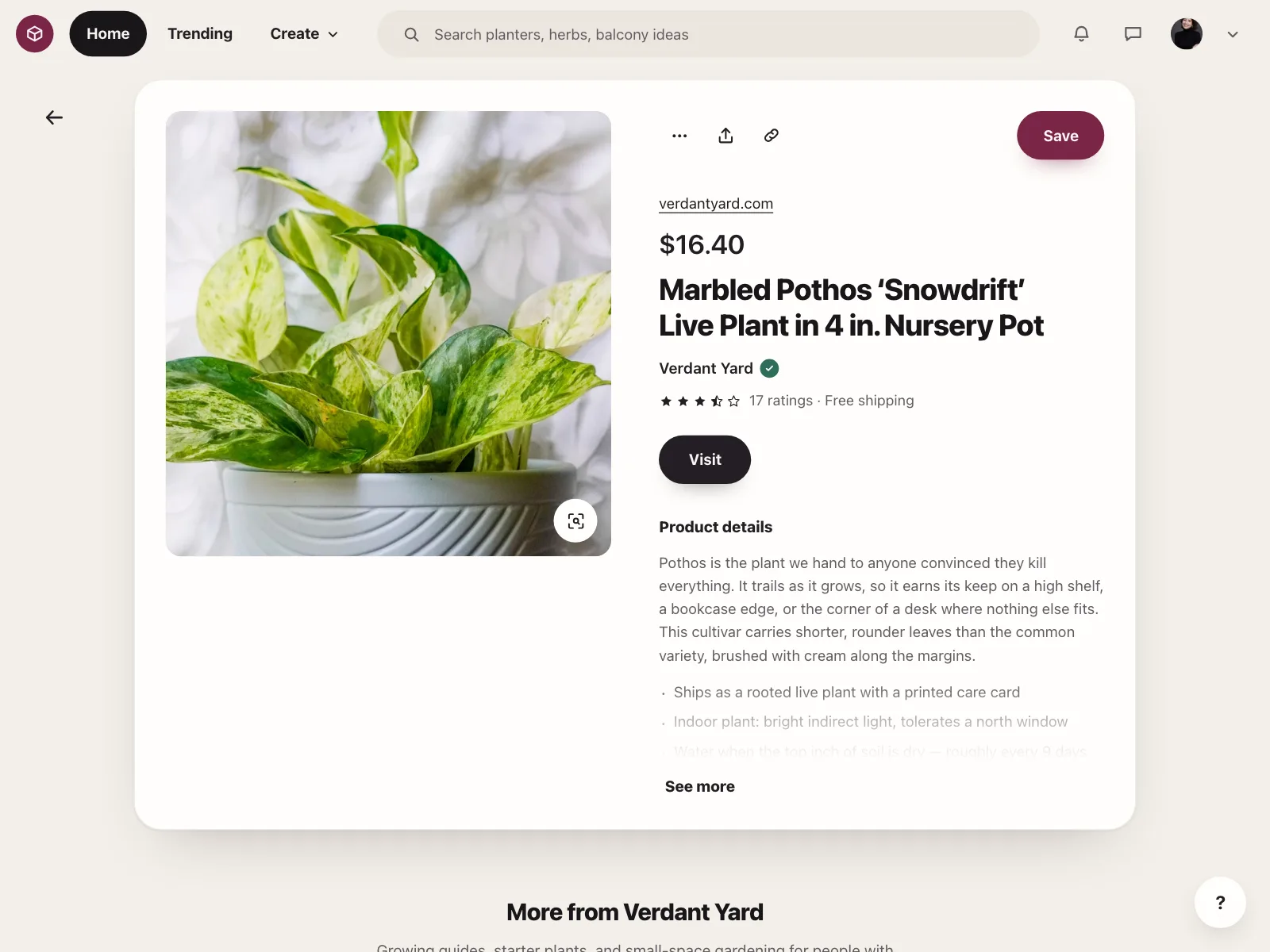 Product detail
