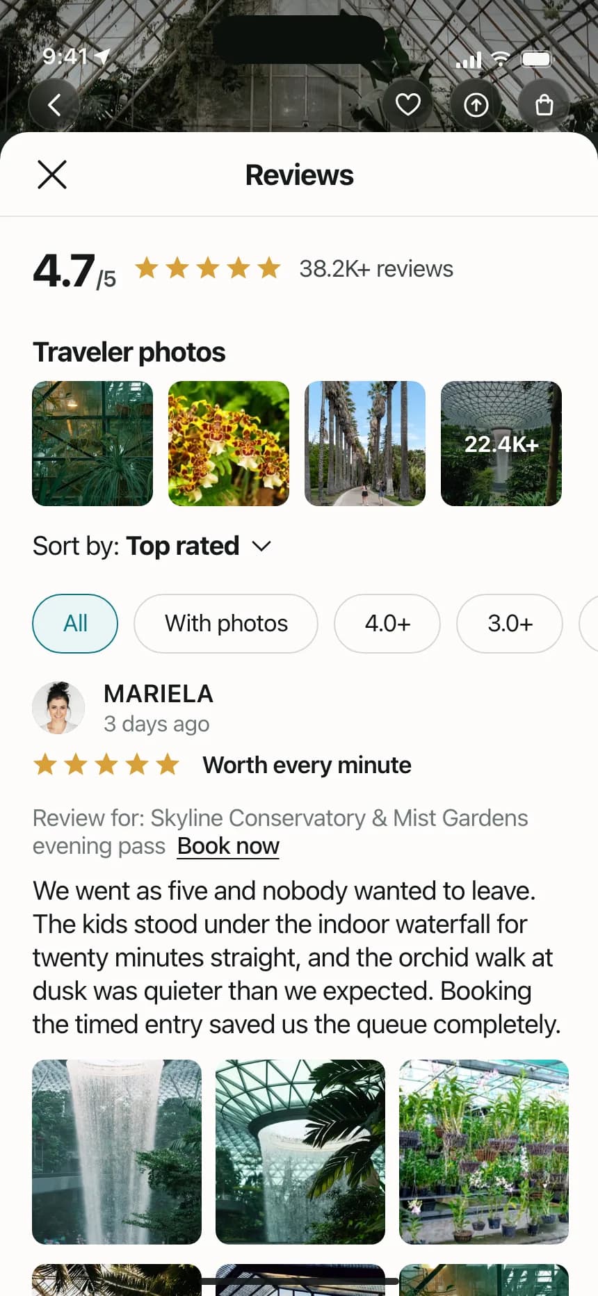 Reviews & Ratings