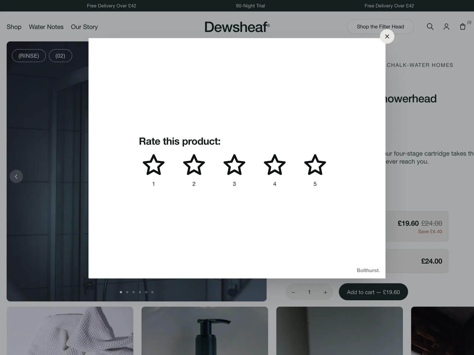 Reviews & Ratings