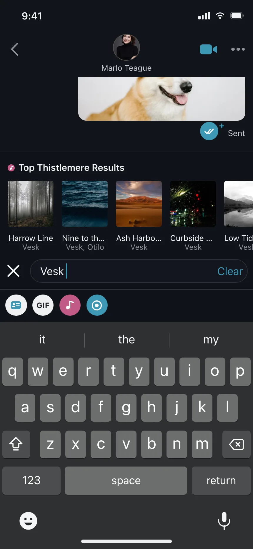 Search bar
