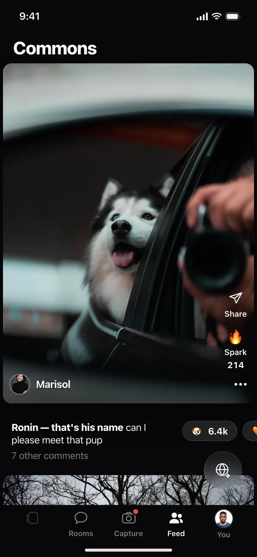 Social feed