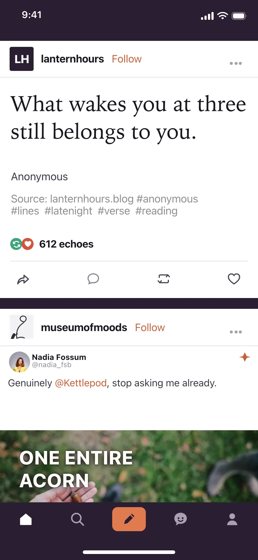 Social feed