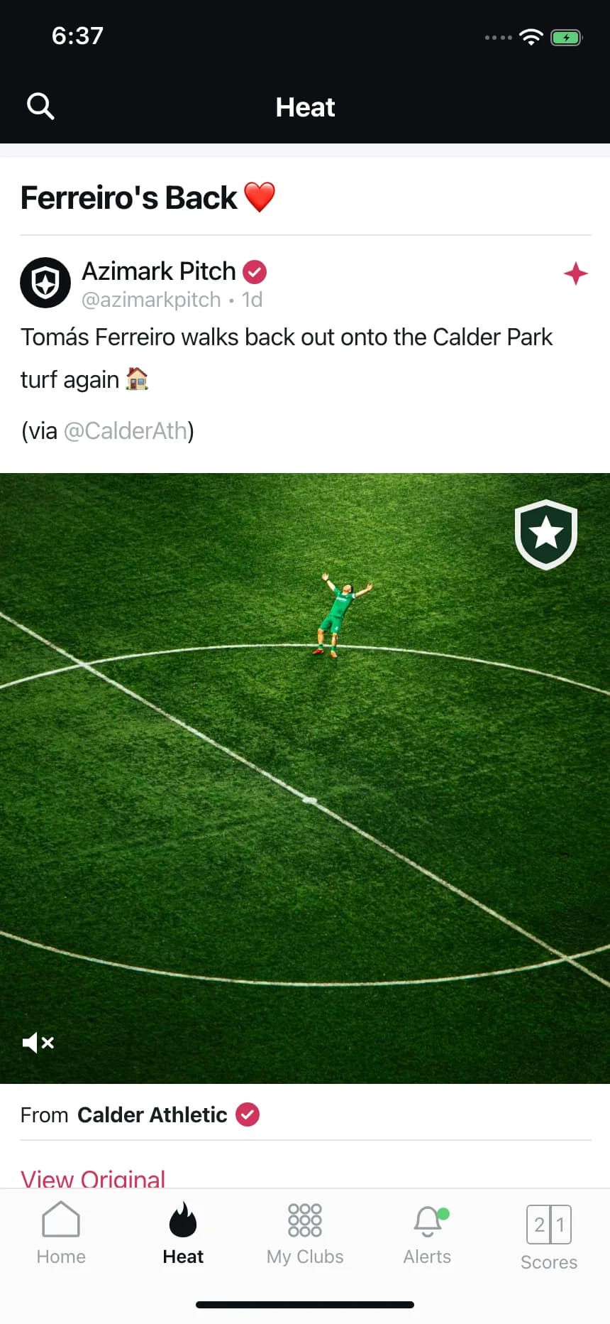 Social feed