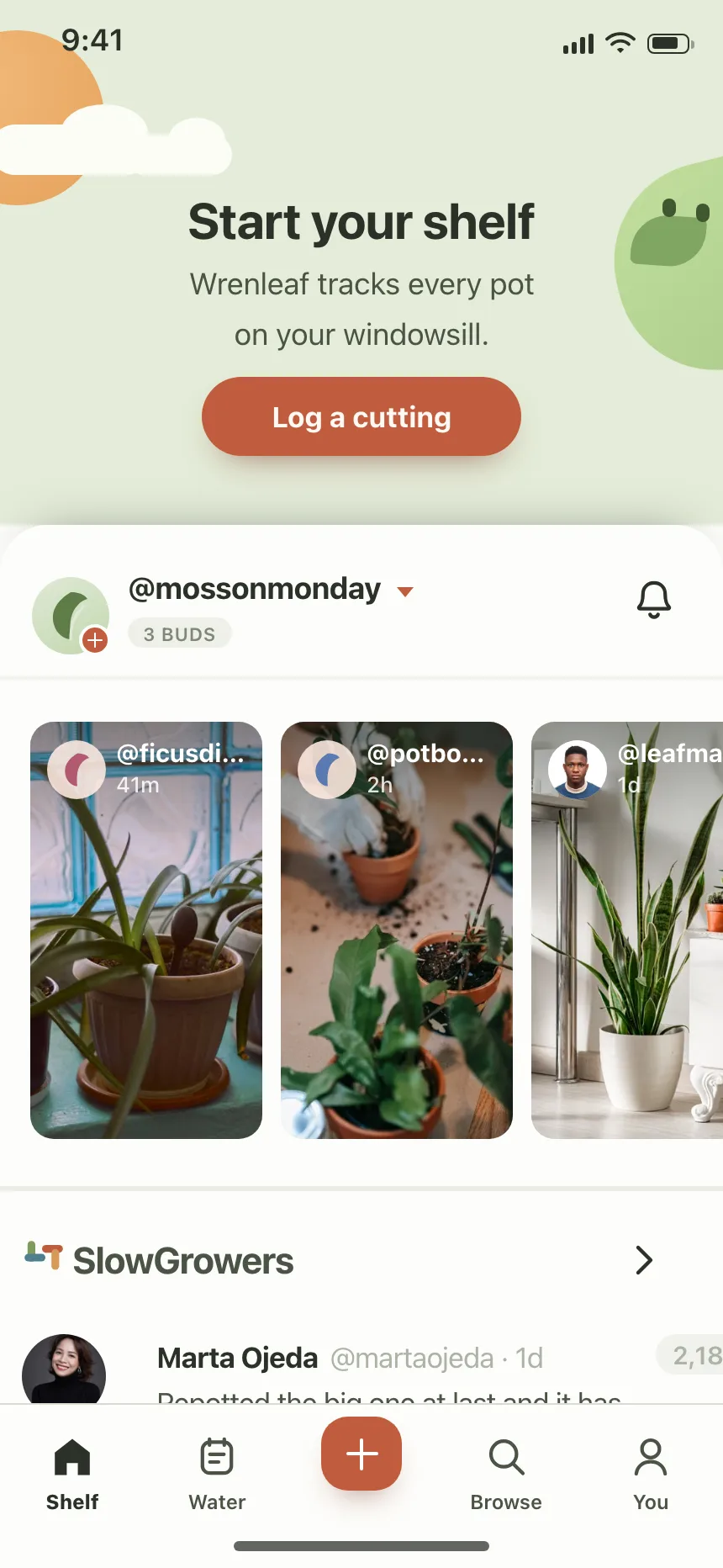 Social feed