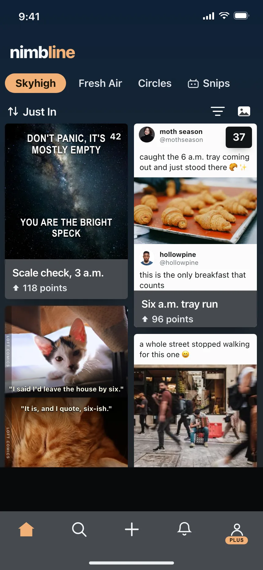 Social feed