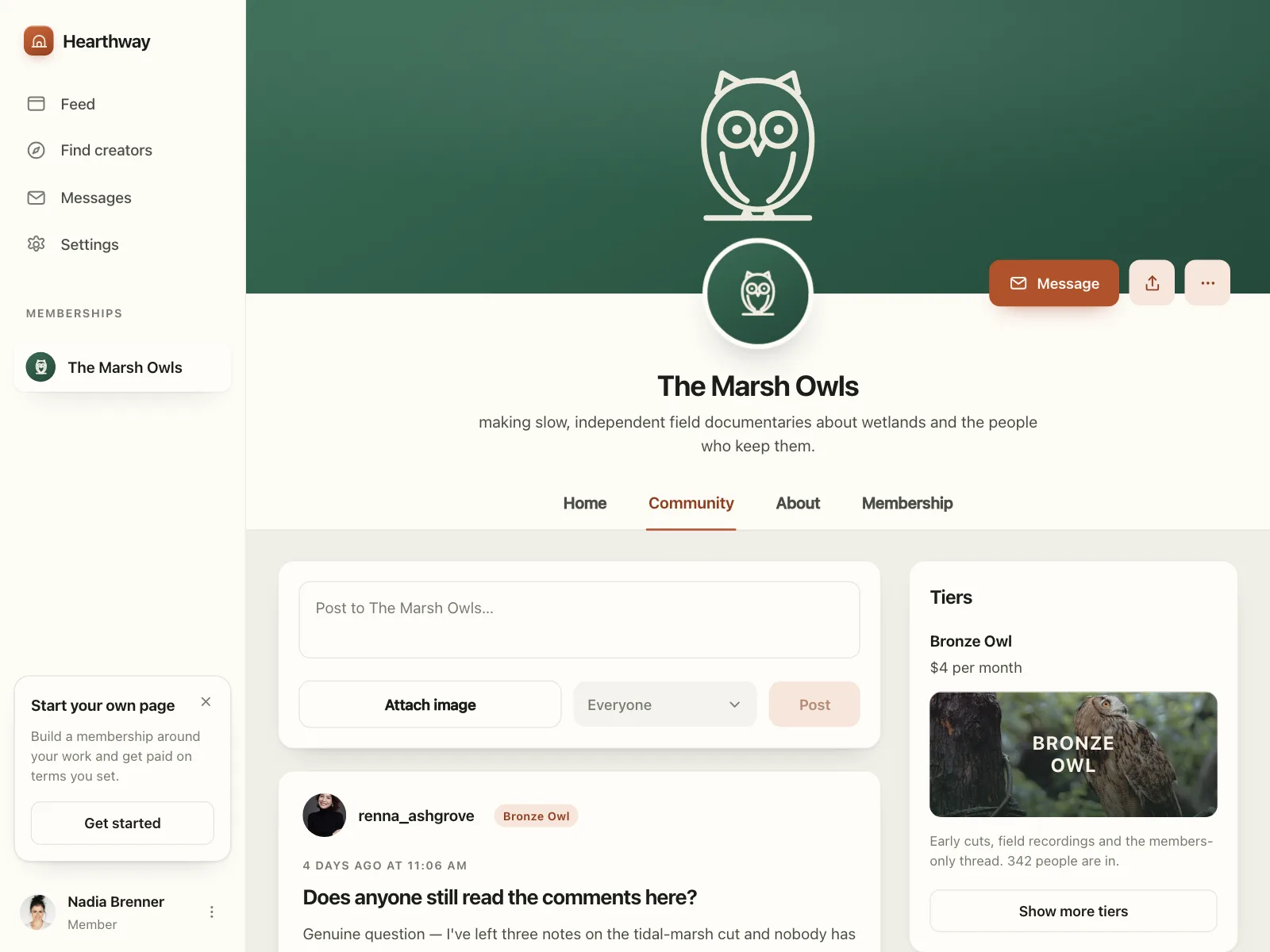 Social feed