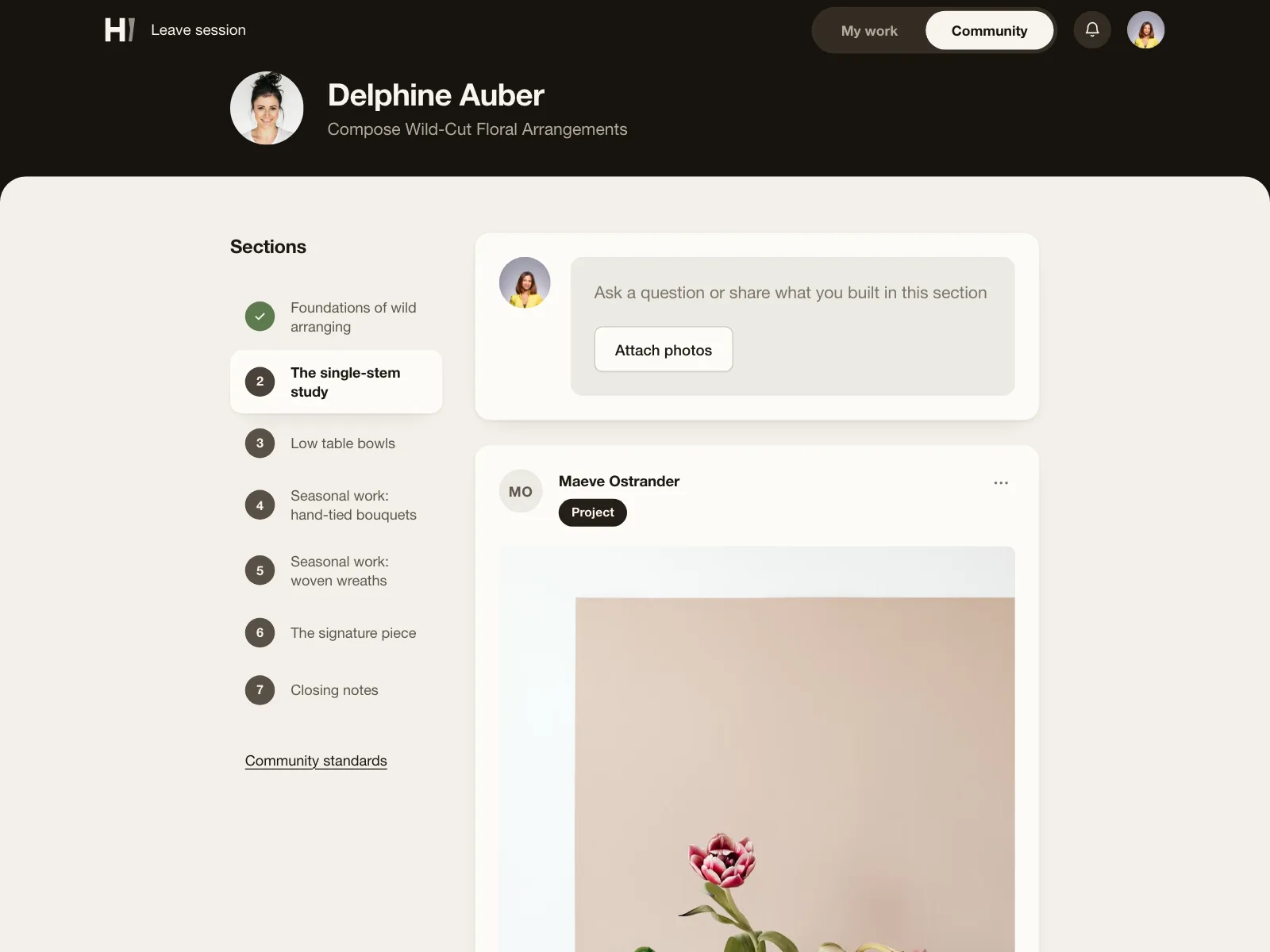 Social feed