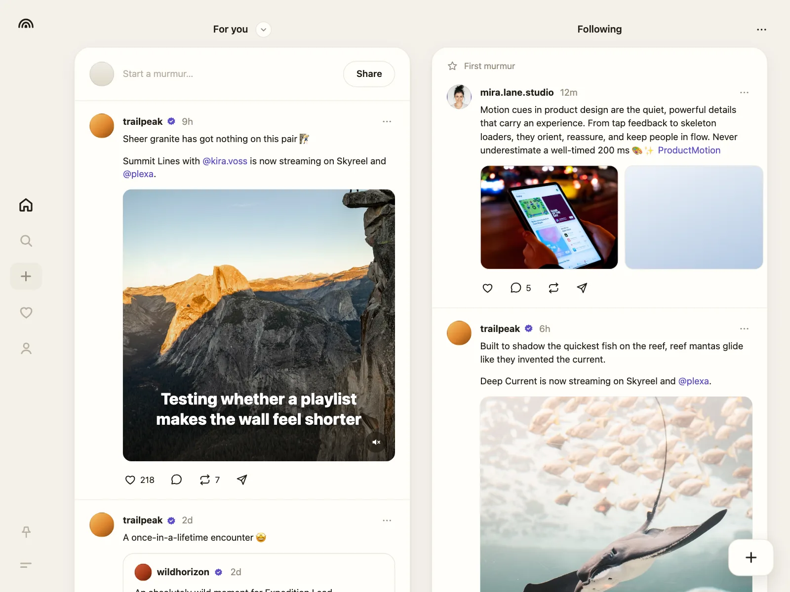 Social feed