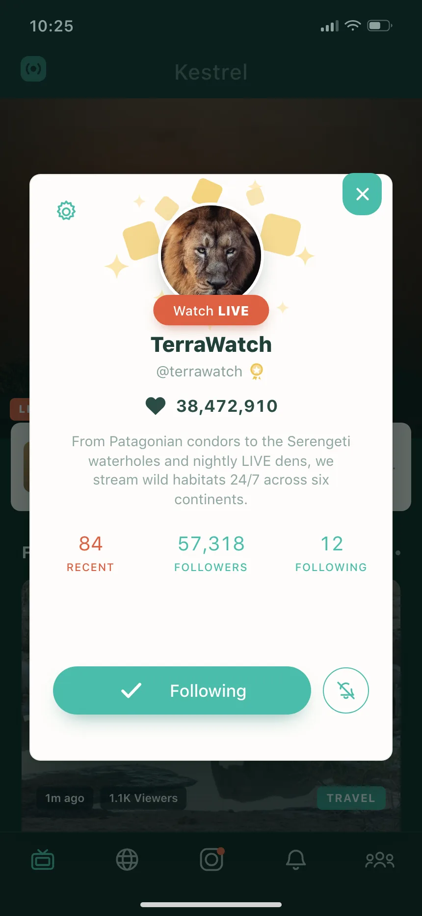 User profile