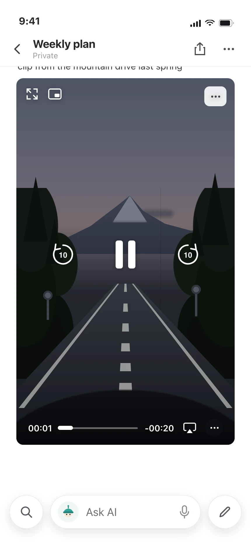 Video player