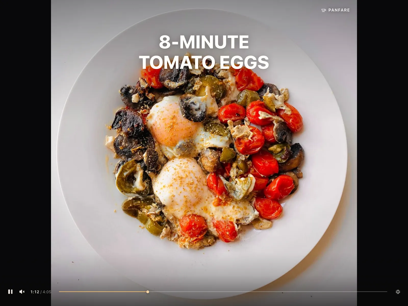 Video player