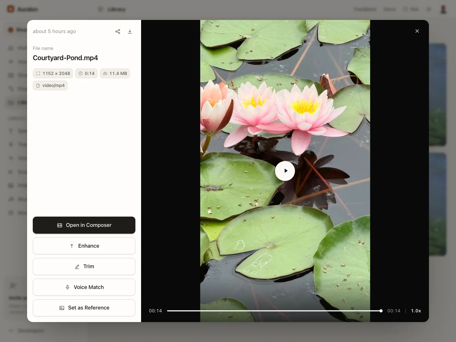 Video player
