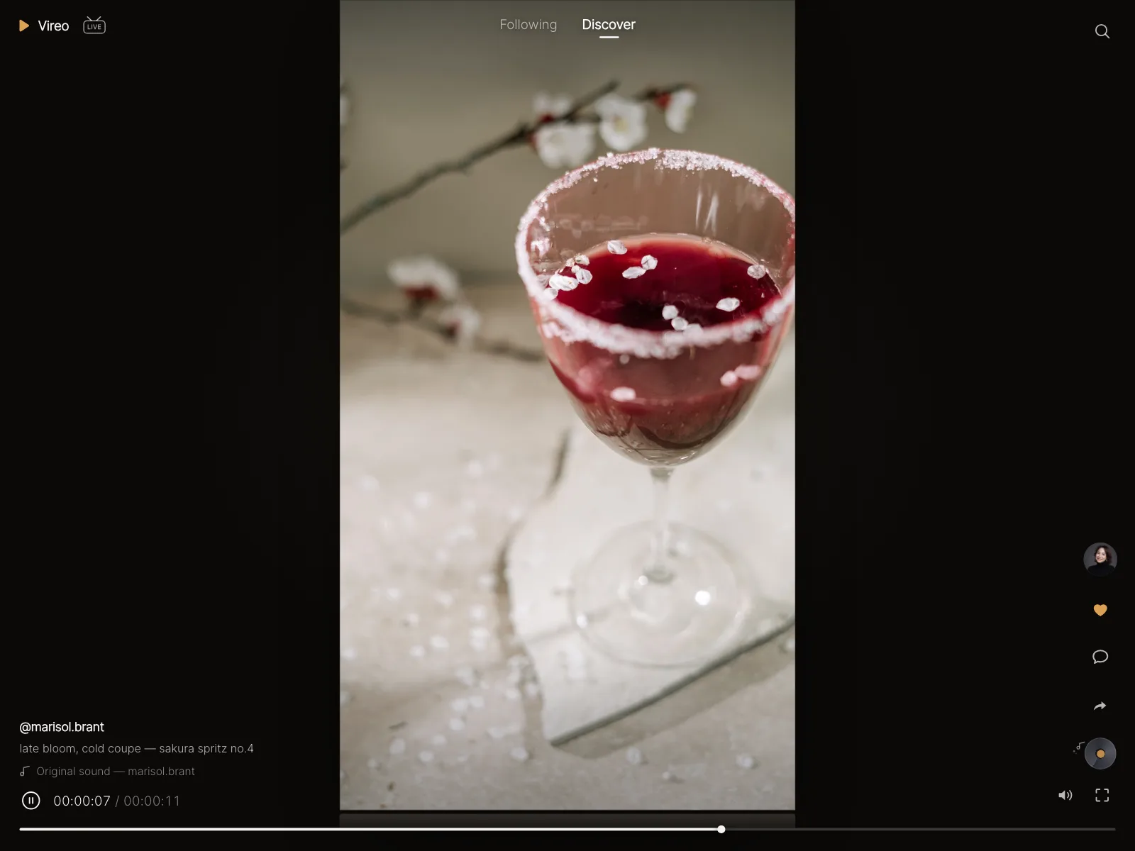 Video player