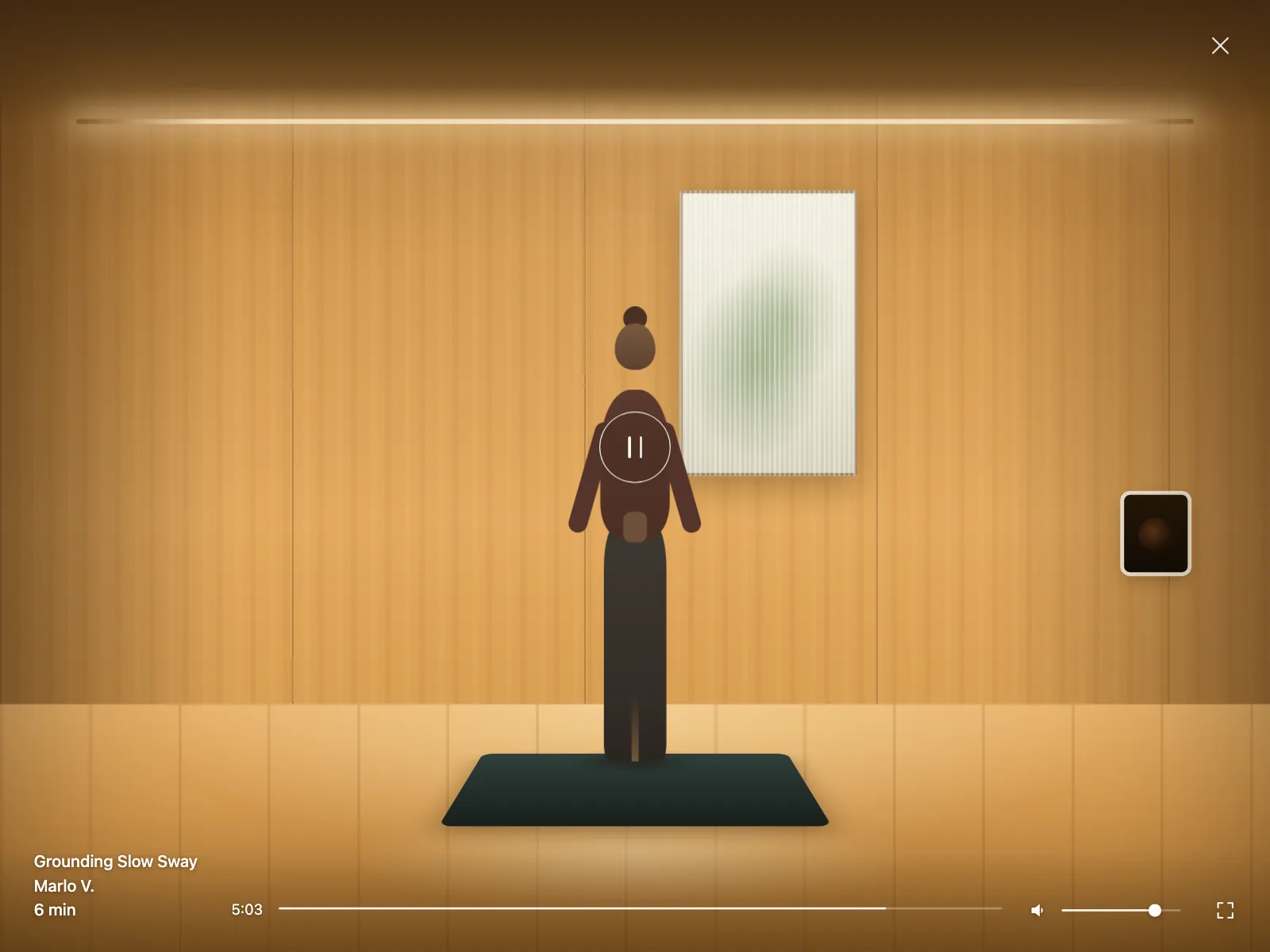 Video player