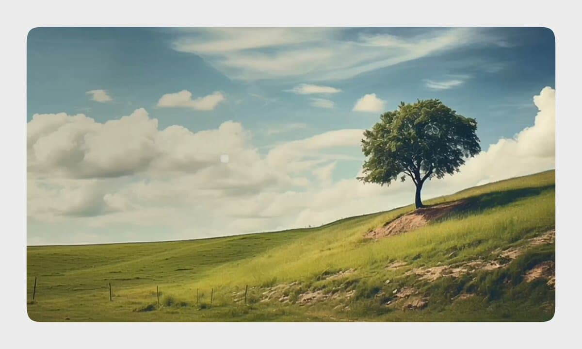 Lone Tree Hillside Scene