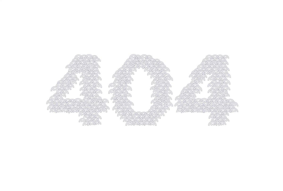 Embroidered Lace 404 Page