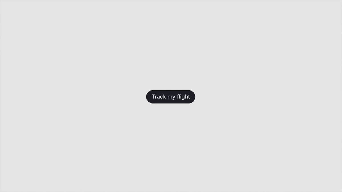 Track My Flight Button