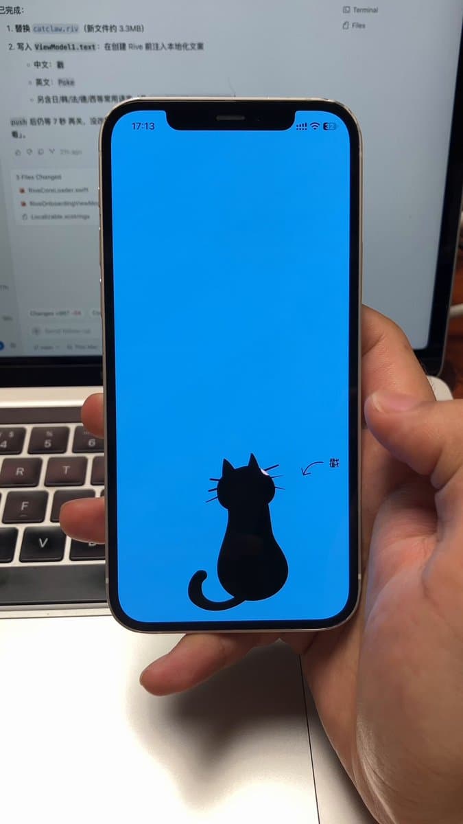 CatClaw App Splash Screen