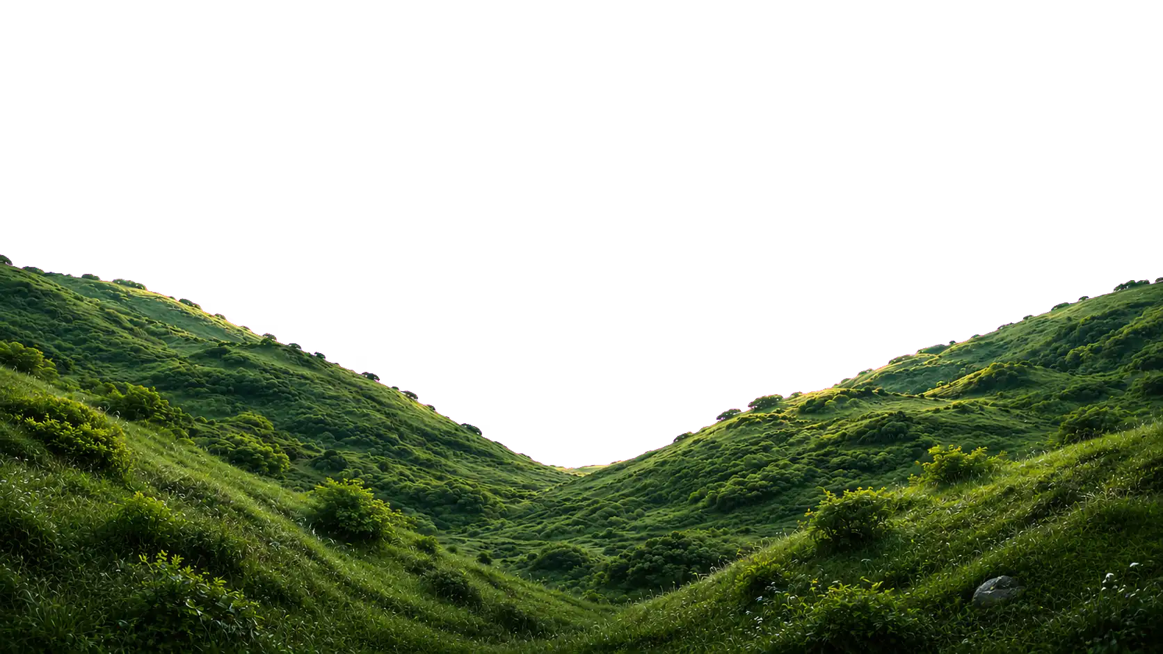 Rolling grassy valley
