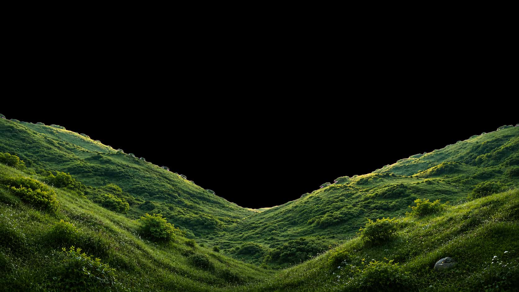 Rolling grassy valley
