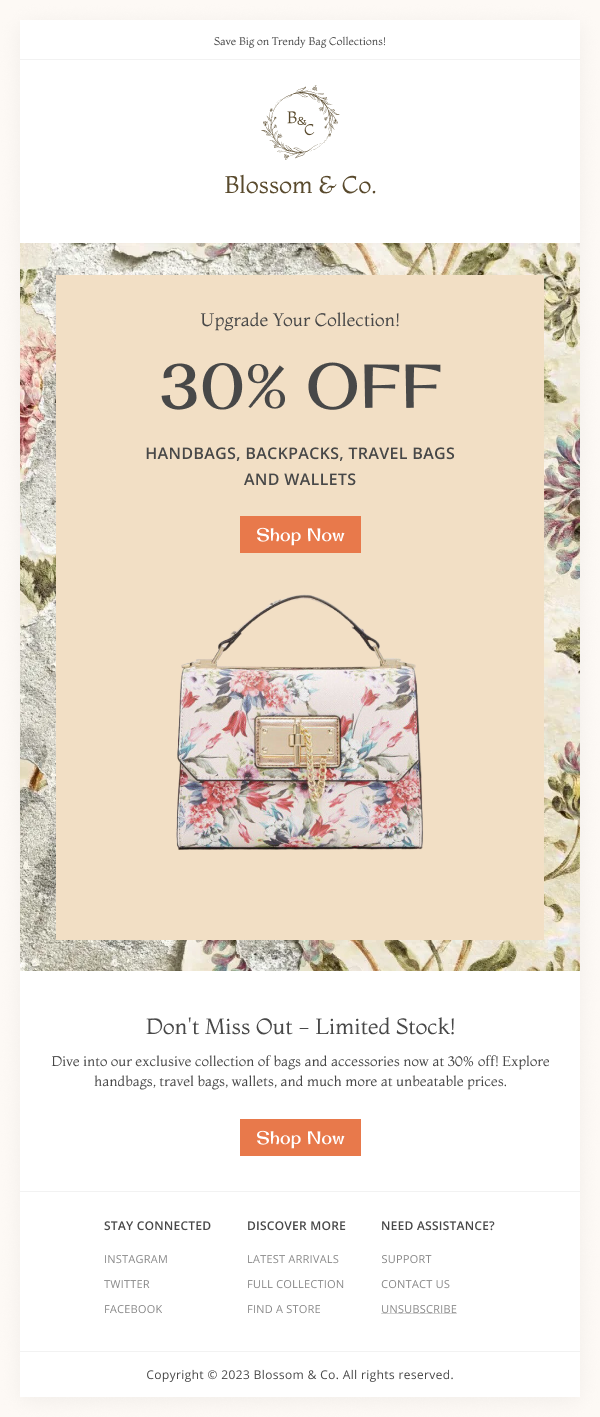 Ecommerce 30% Off on bags